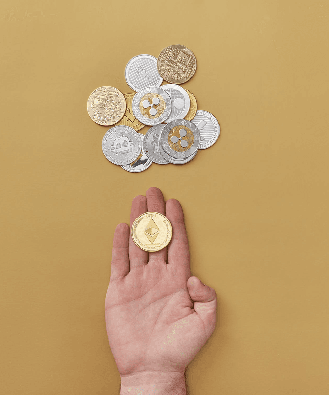 pexels-photo-7267533